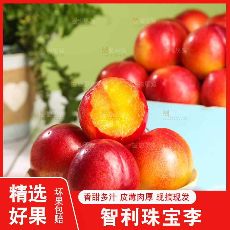 木底上的珠宝李