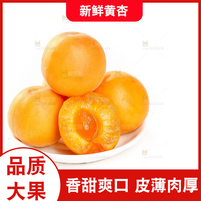 白底上的大黄杏