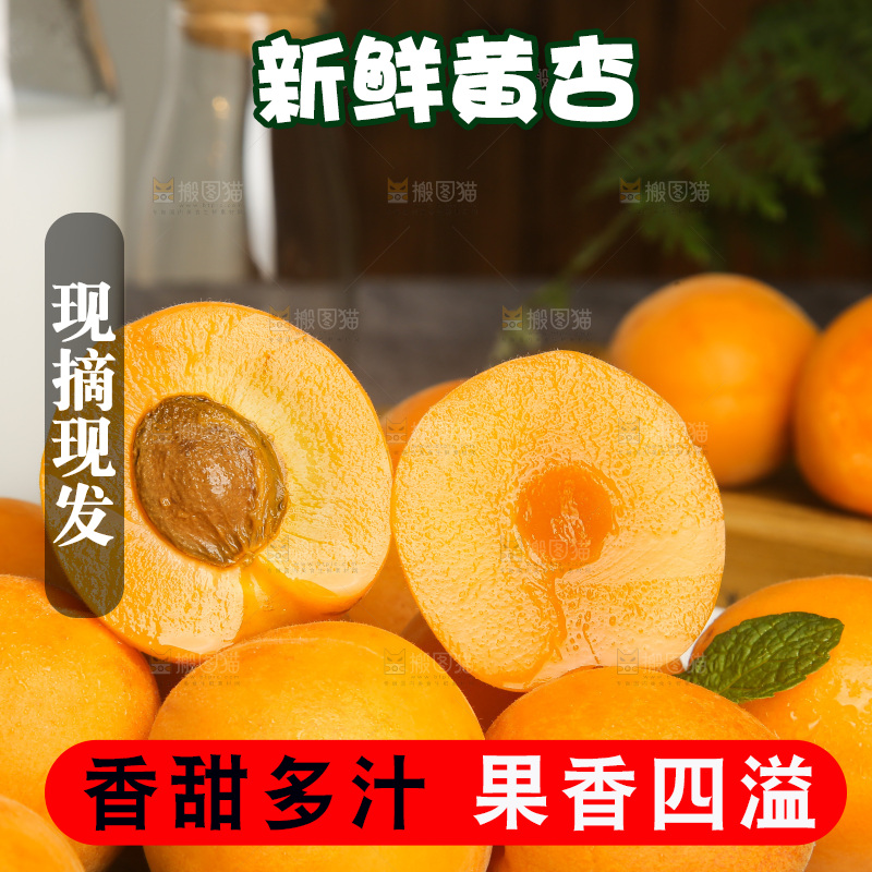 深底上的大黄杏