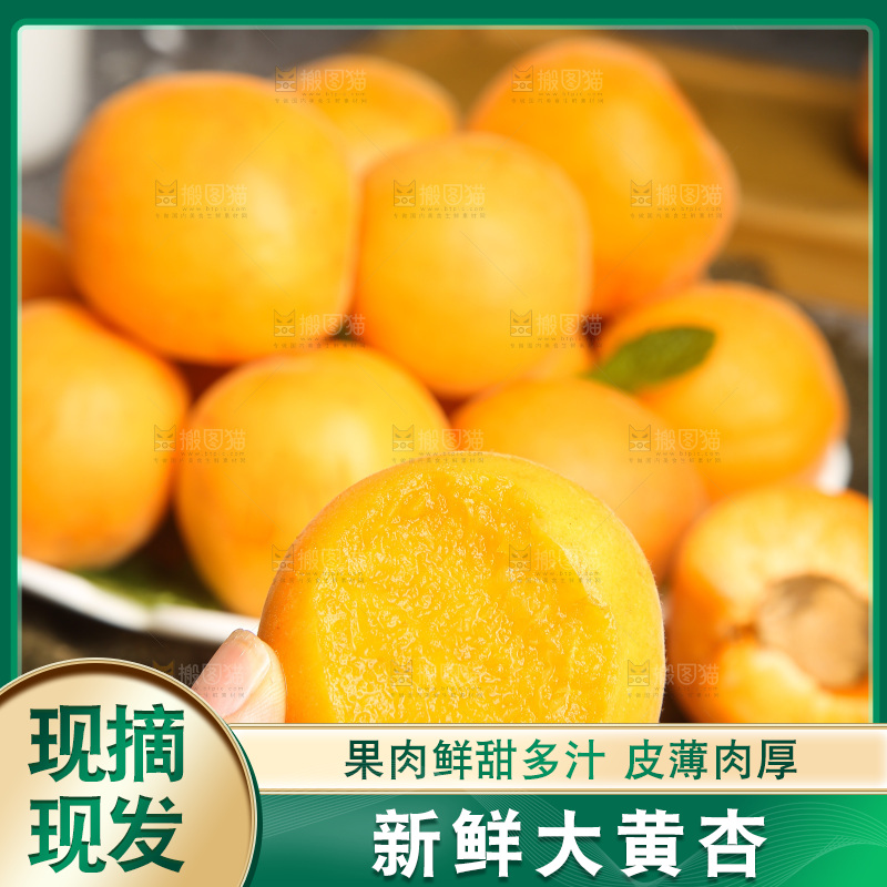 深底上的大黄杏