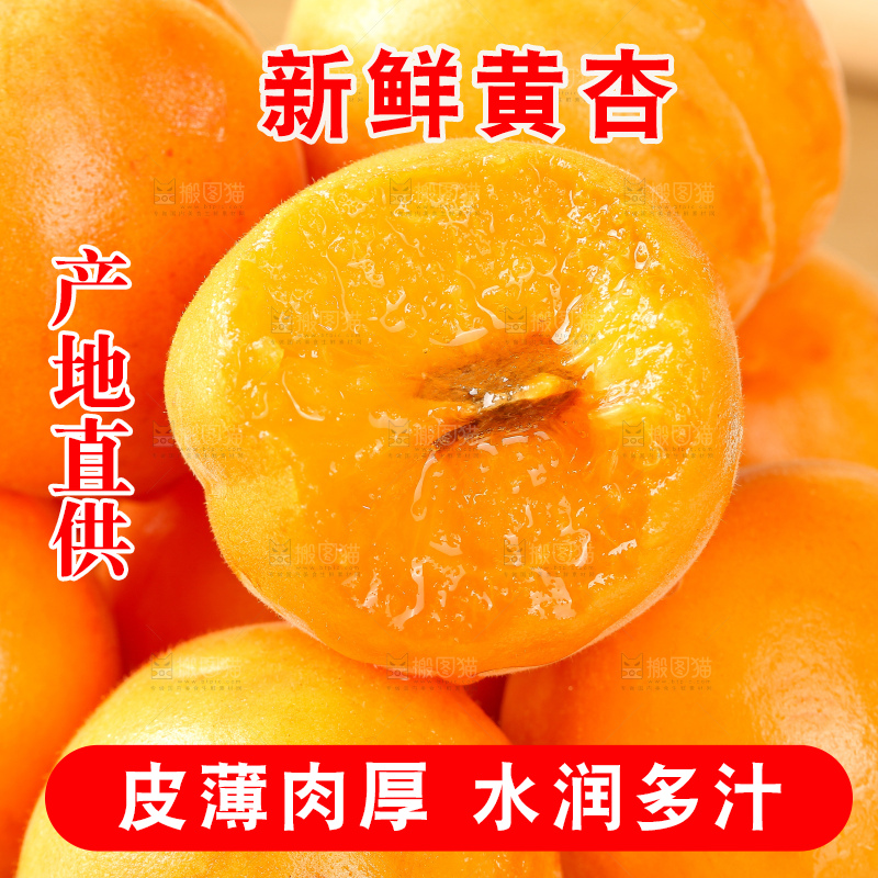 浅底上的大黄杏