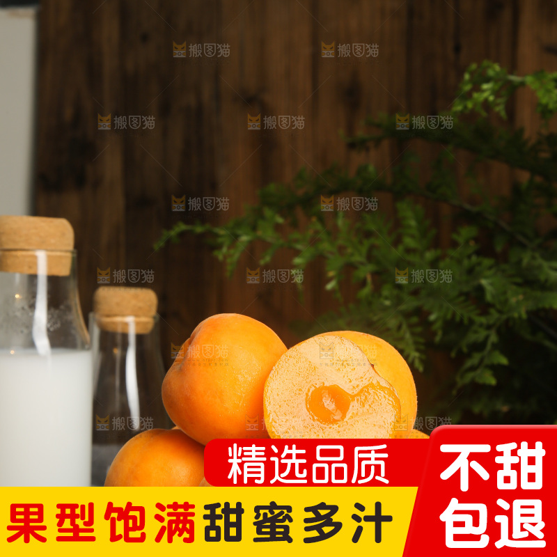 深底上的大黄杏