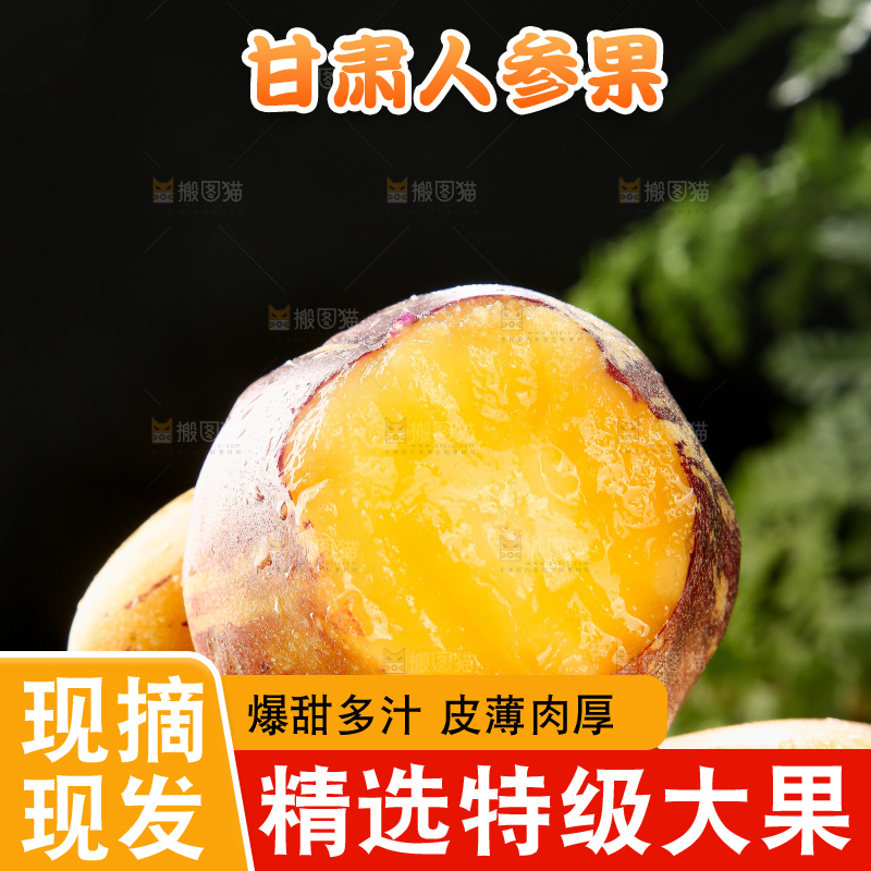 深底上的民勤人参果