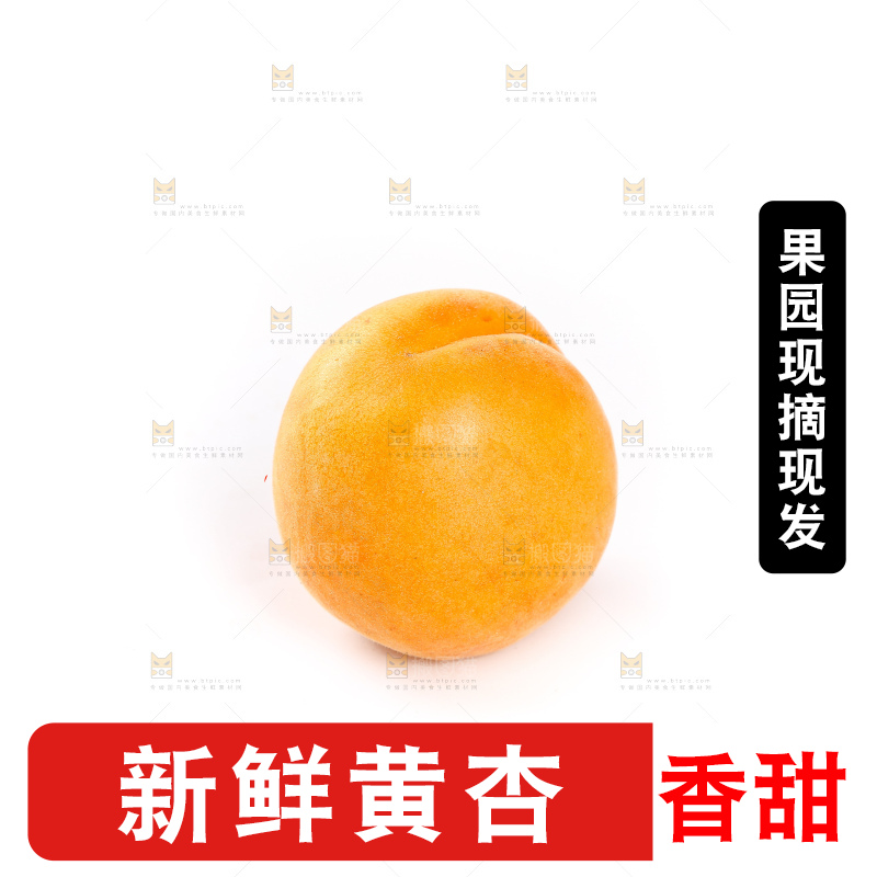 白底上的大黄杏