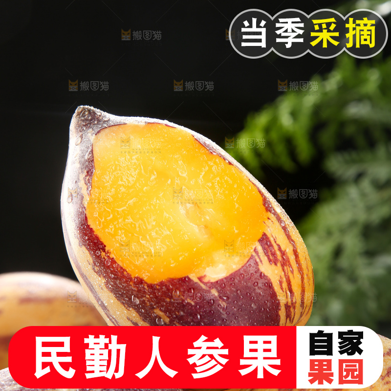 深底上的民勤人参果