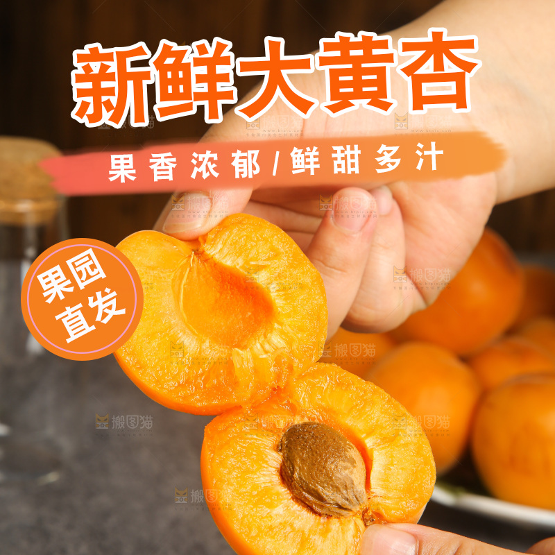深底上的大黄杏