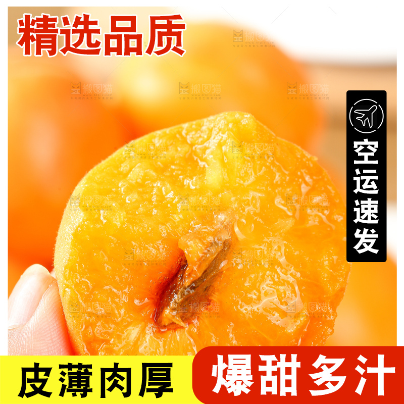 浅底上的大黄杏