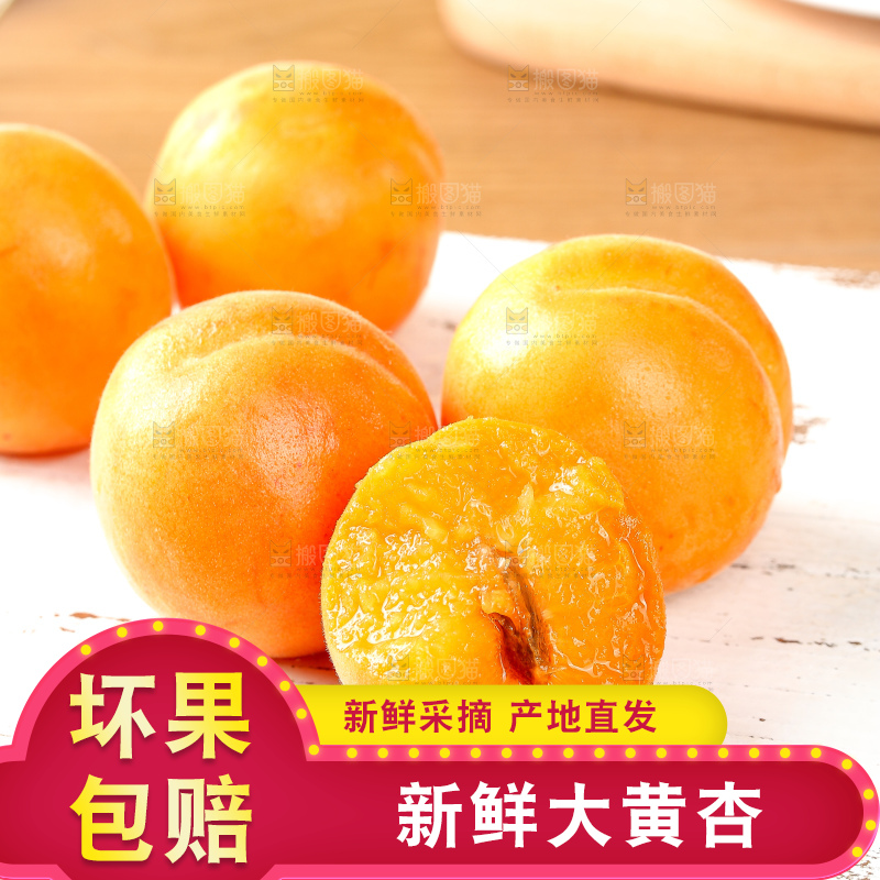 浅底上的大黄杏