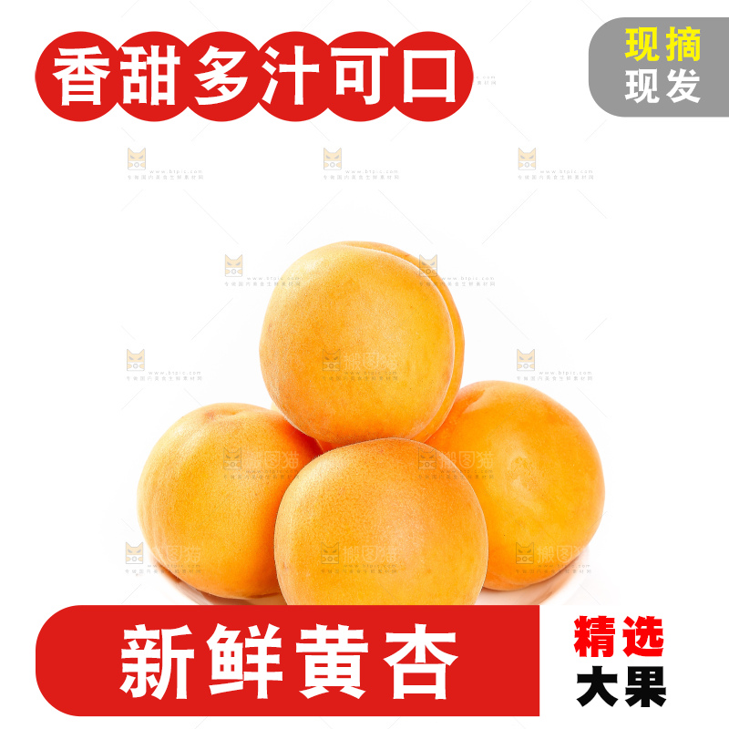白底上的大黄杏