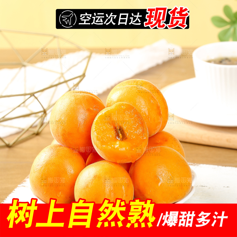 浅底上的大黄杏