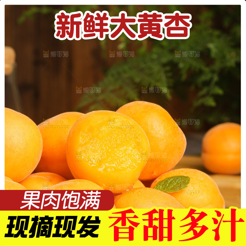 深底上的大黄杏