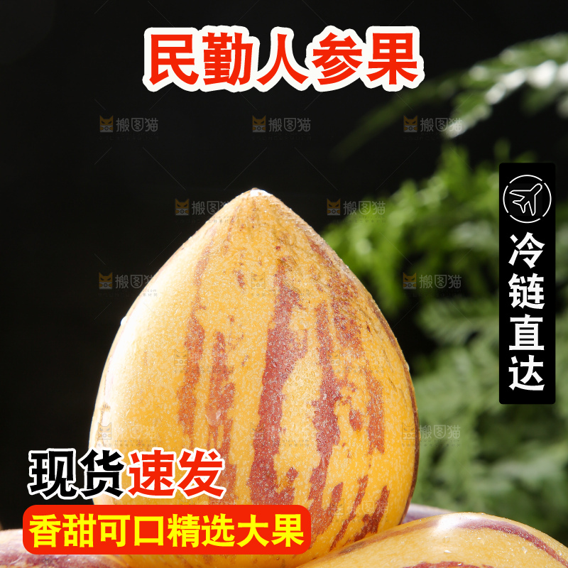 深底上的民勤人参果