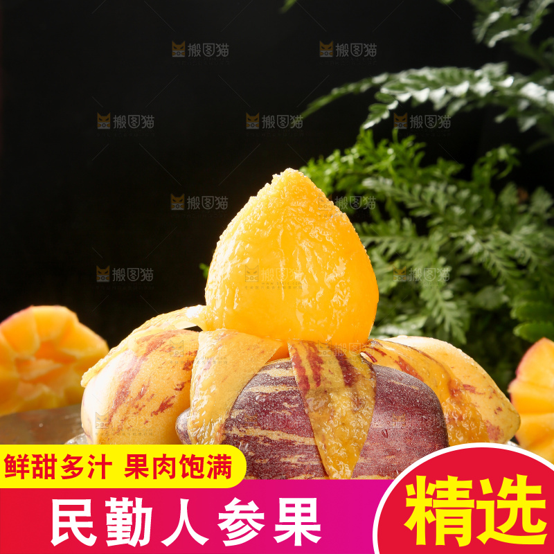 深底上的民勤人参果