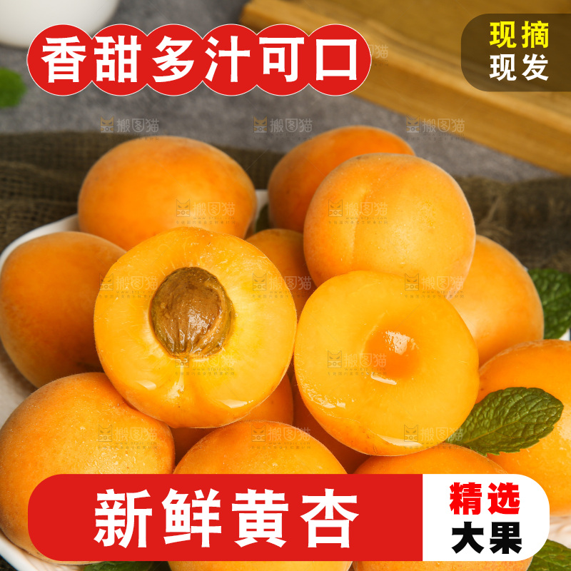 深底上的大黄杏