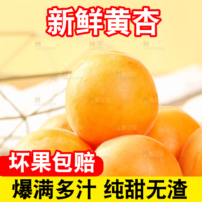 浅底上的大黄杏