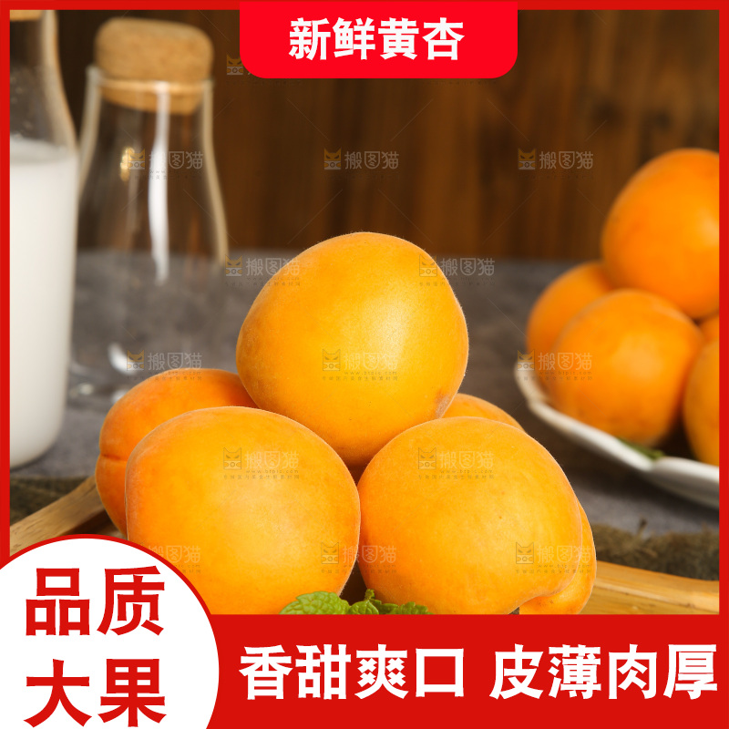 深底上的大黄杏