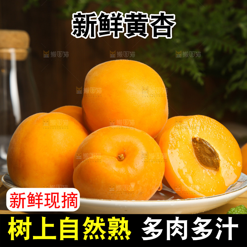 深底上的大黄杏
