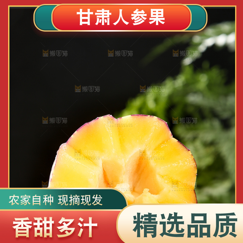 深底上的民勤人参果