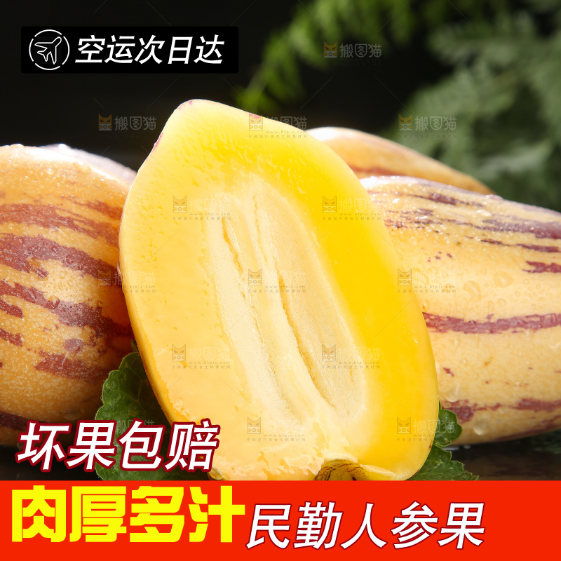 深底上的民勤人参果