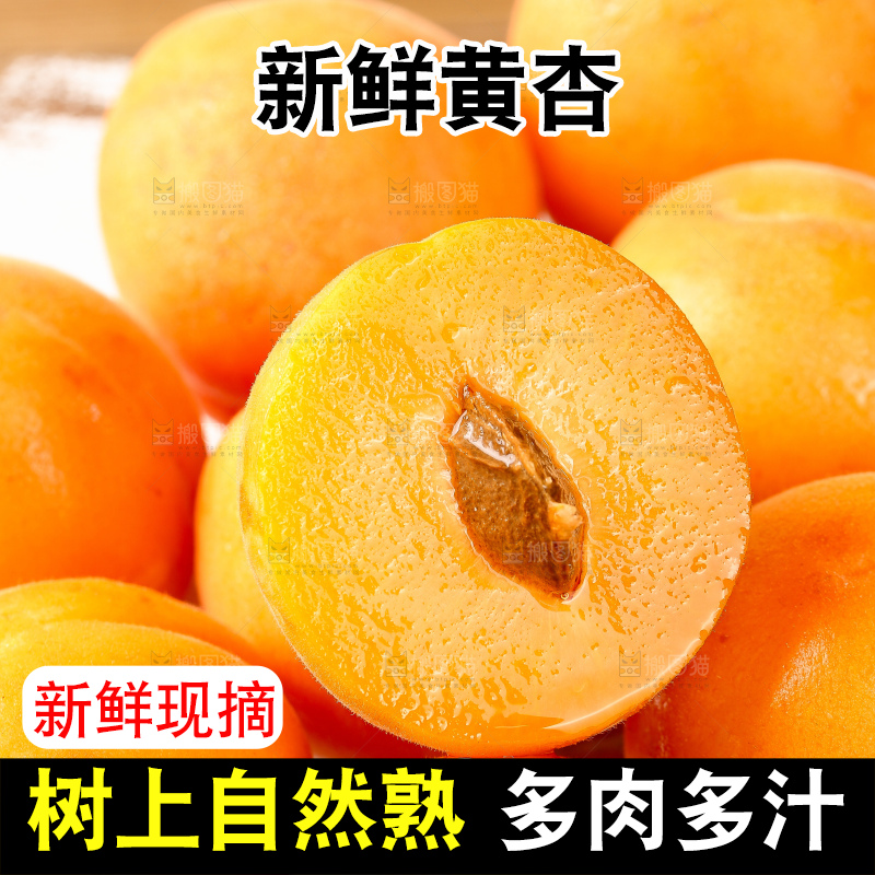 浅底上的大黄杏