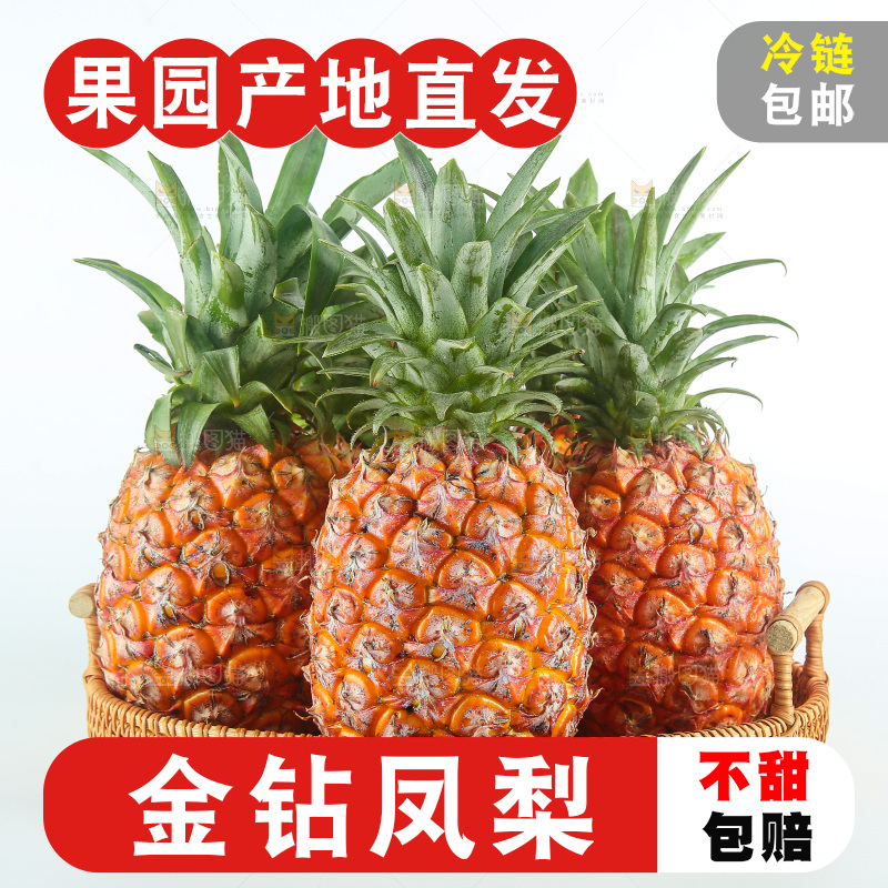 白底上的金钻凤梨