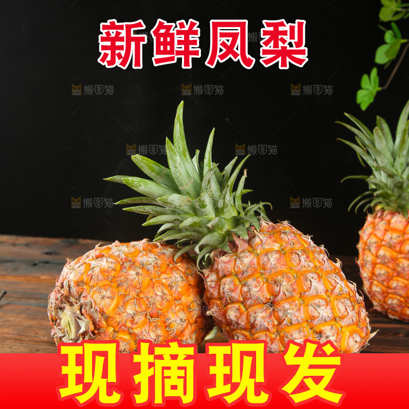 深底上的金钻凤梨