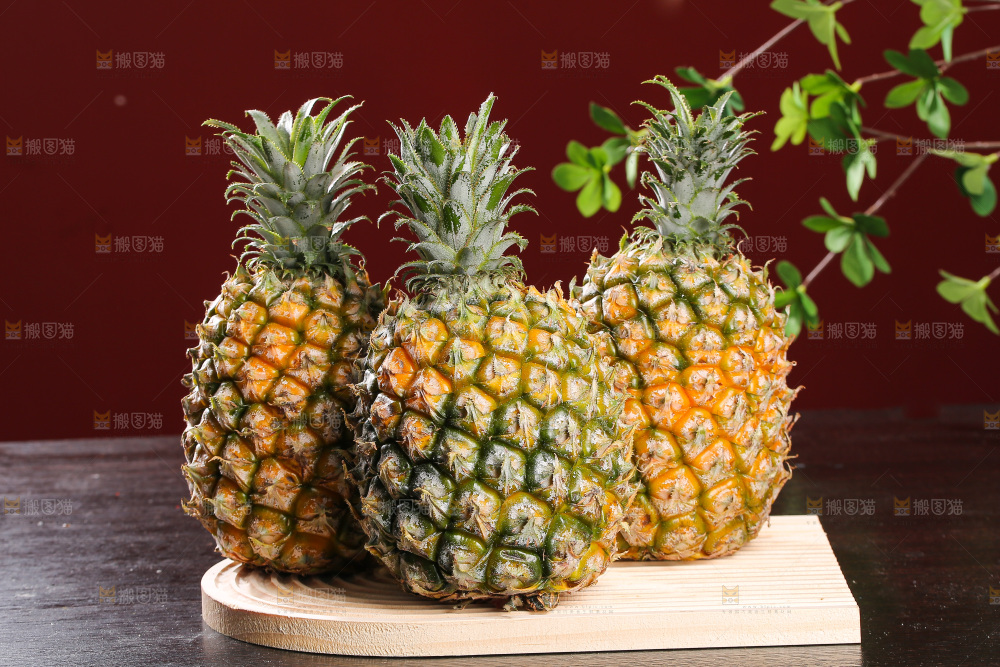 深底上的徐闻菠萝