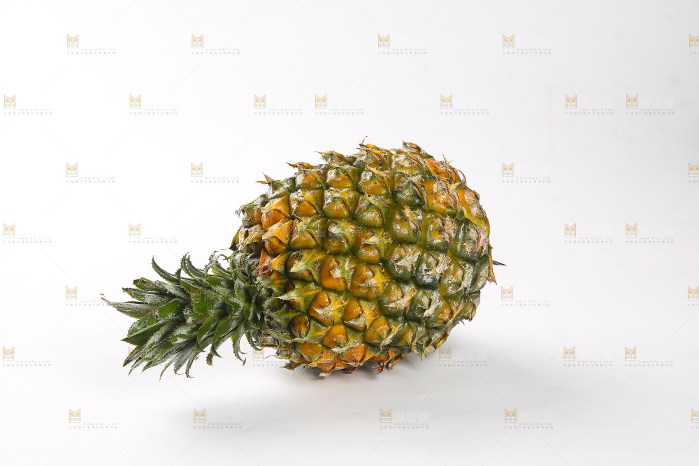 白底上的徐闻菠萝