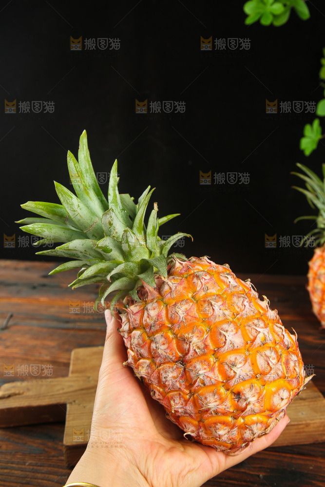 深底上的金钻凤梨