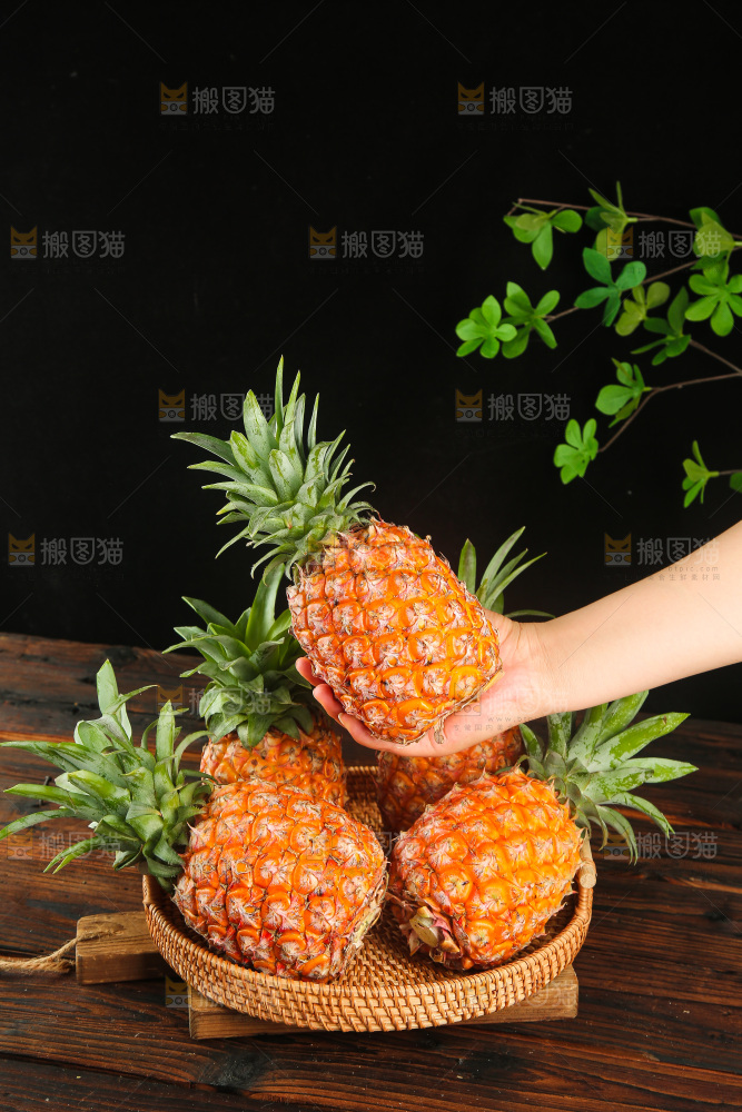 深底上的金钻凤梨