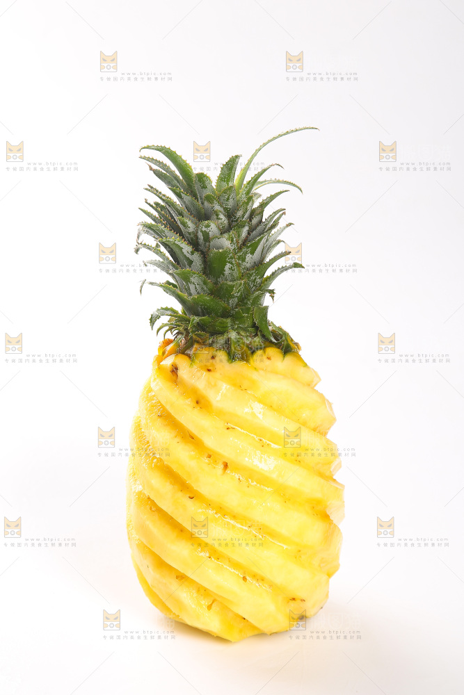 白底上的徐闻菠萝