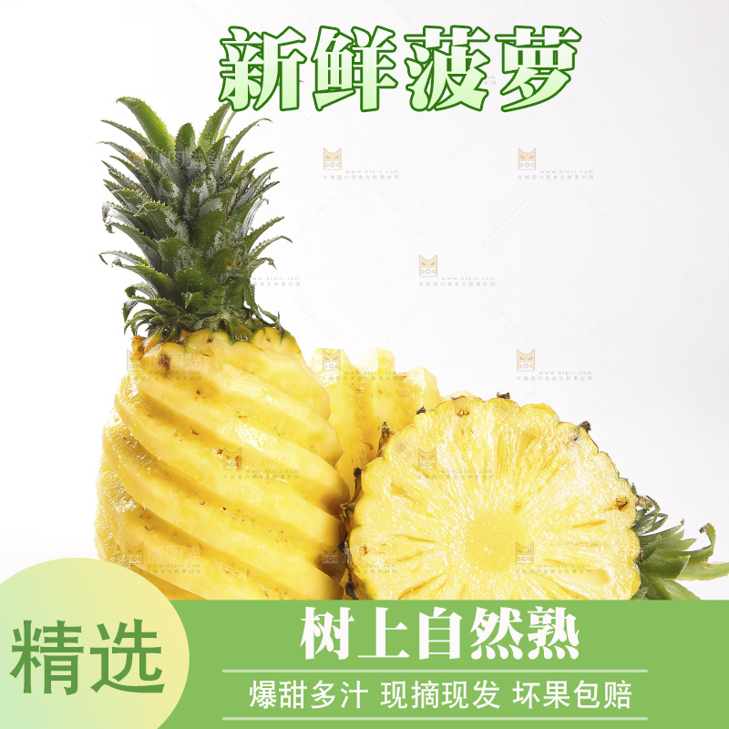 白底上的徐闻菠萝