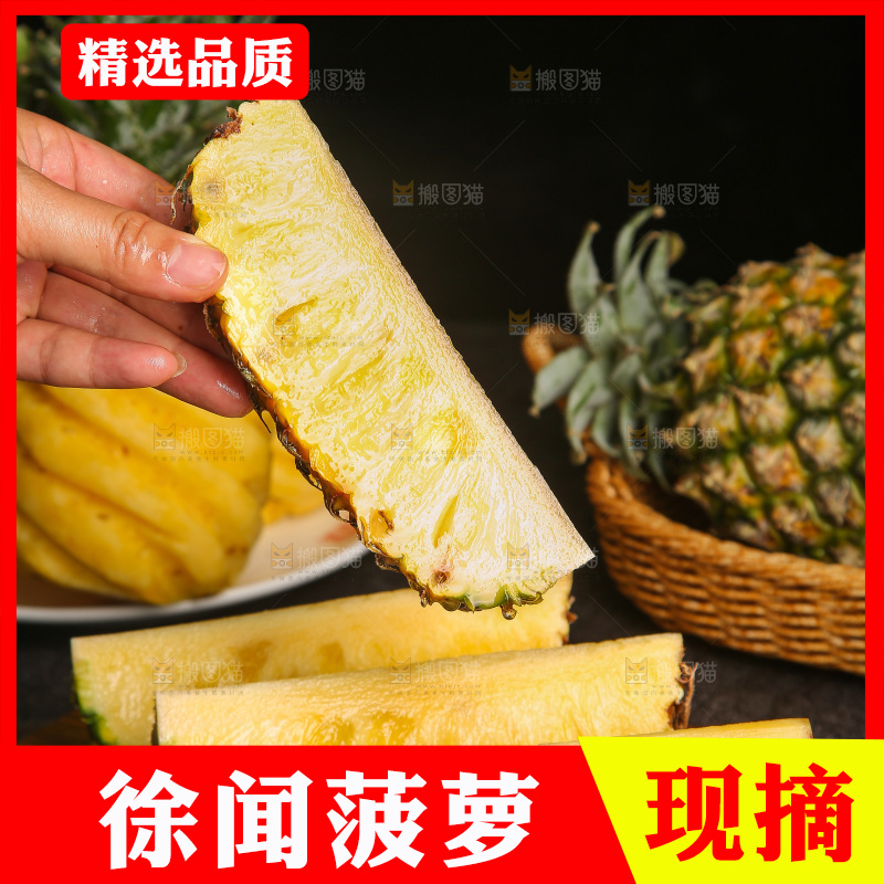 深底上的徐闻菠萝
