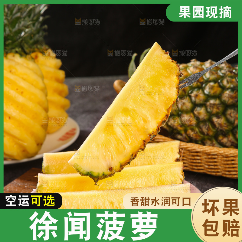 深底上的徐闻菠萝