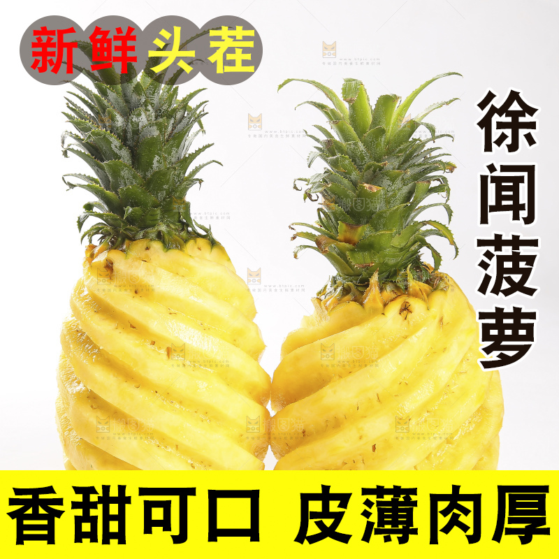 白底上的徐闻菠萝
