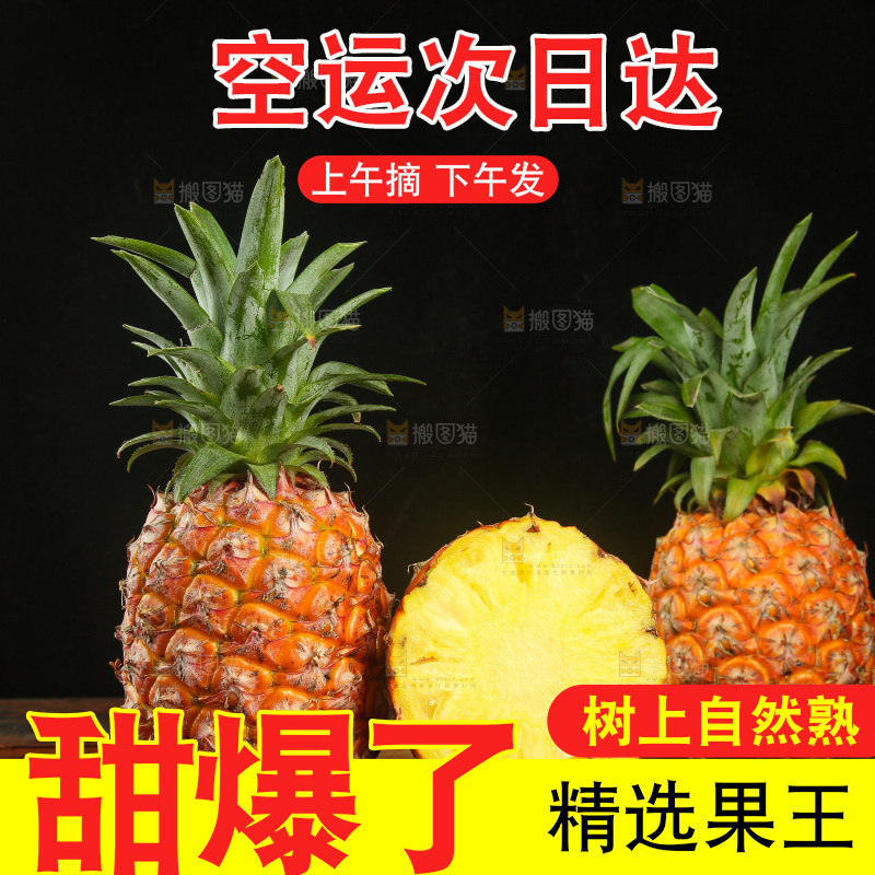 深底上的金钻凤梨