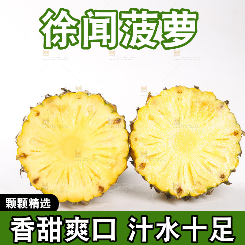白底上的徐闻菠萝