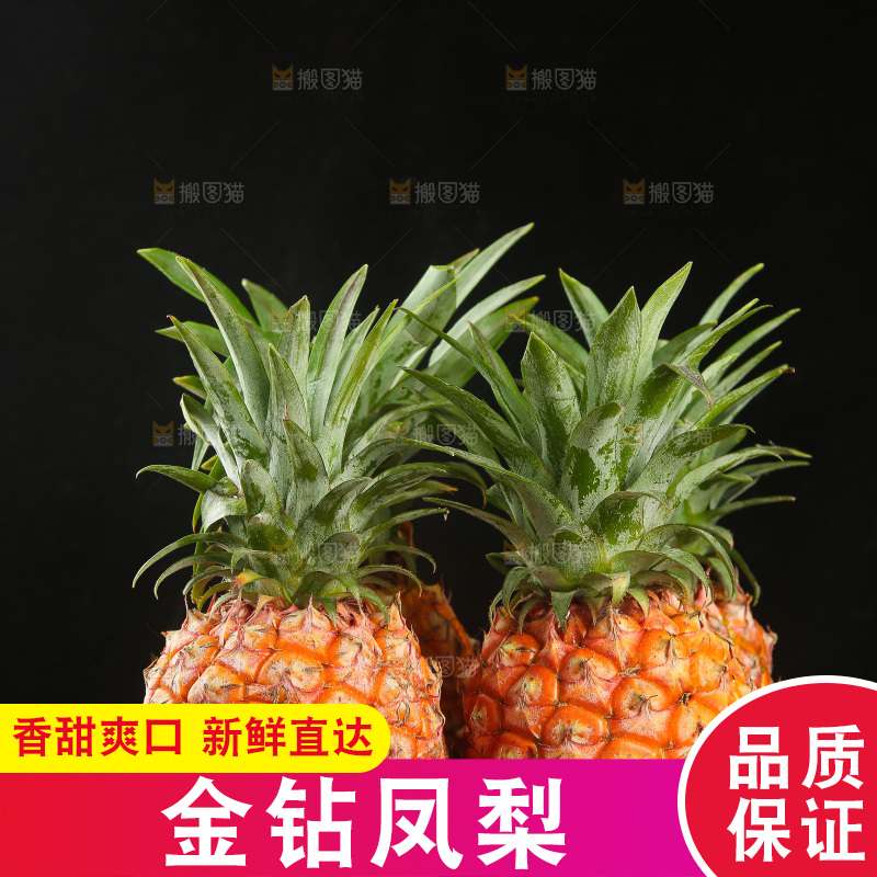 深底上的金钻凤梨