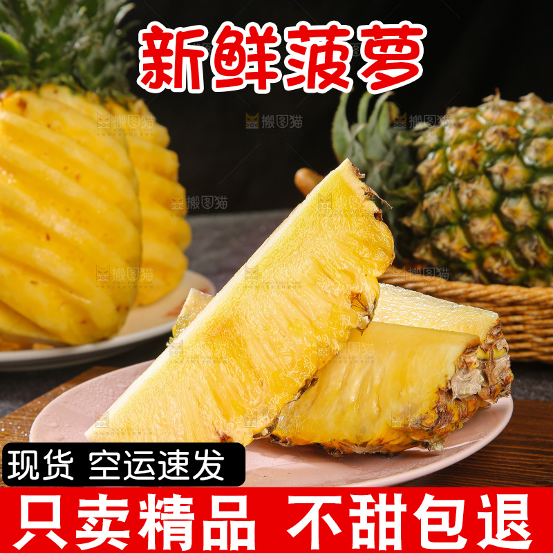 深底上的徐闻菠萝