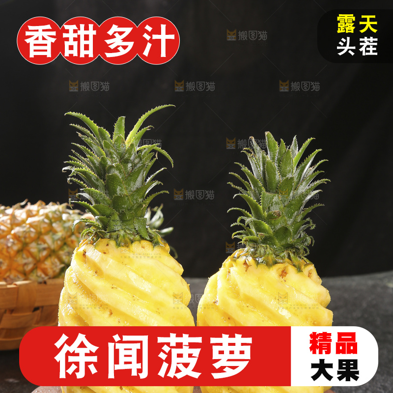 深底上的徐闻菠萝