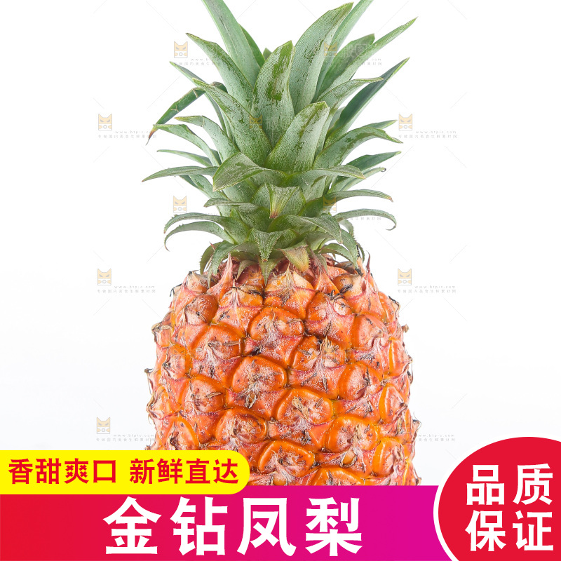 白底上的金钻凤梨