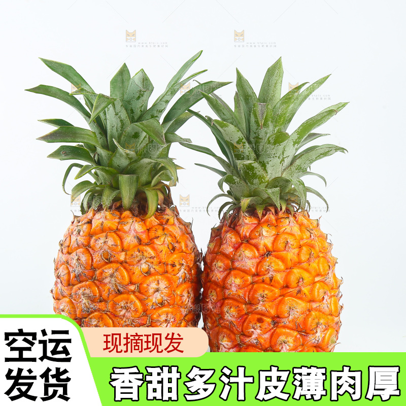 白底上的金钻凤梨