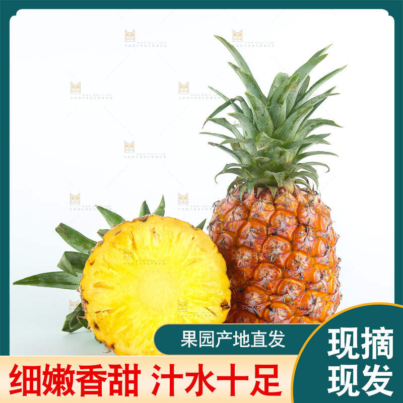 白底上的金钻凤梨