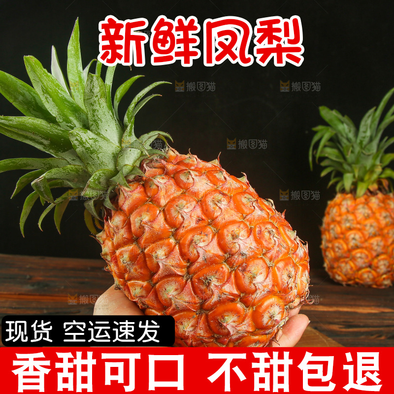 深底上的金钻凤梨