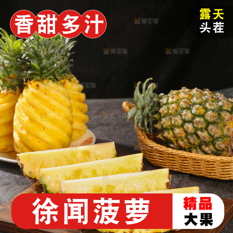 深底上的徐闻菠萝