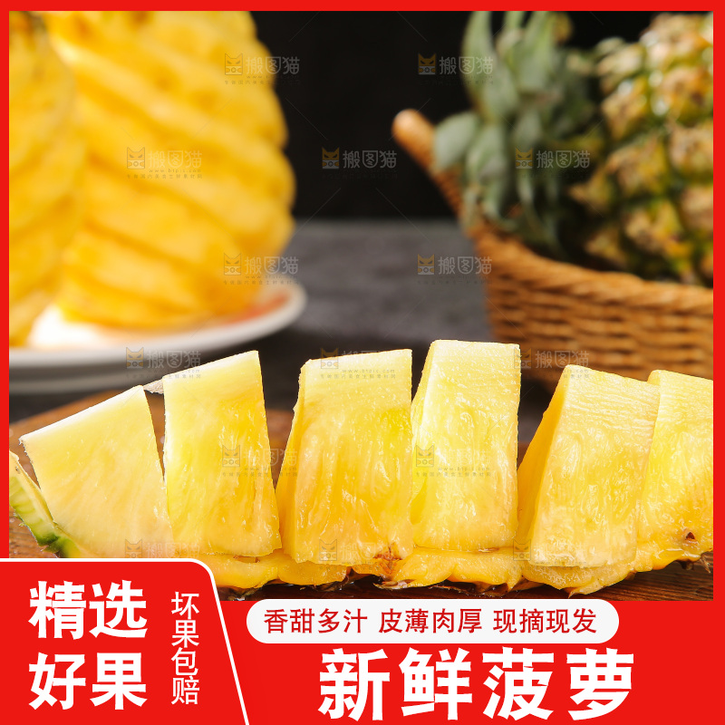 深底上的徐闻菠萝