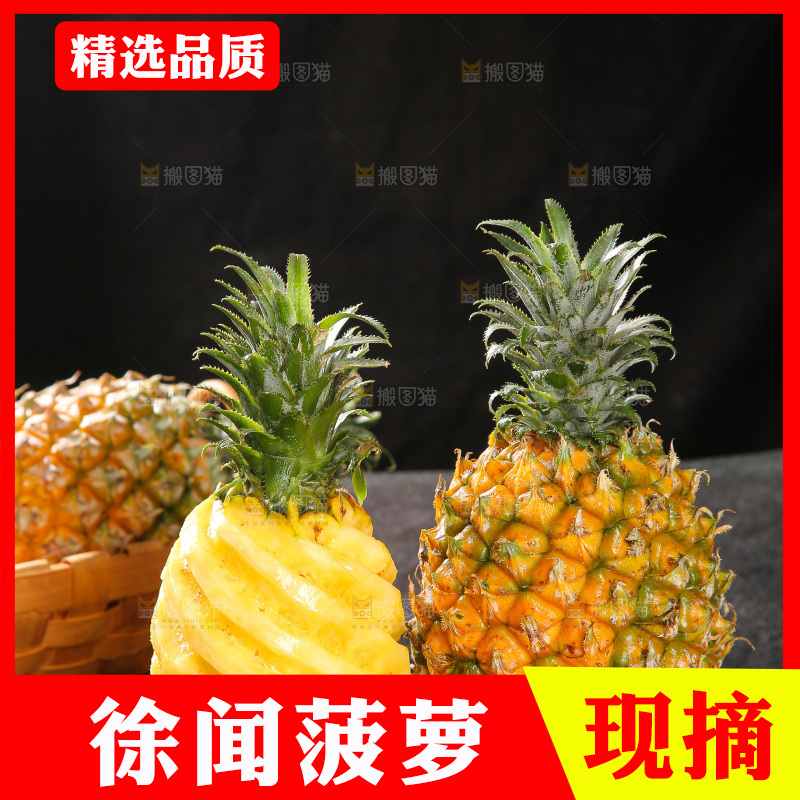 深底上的徐闻菠萝