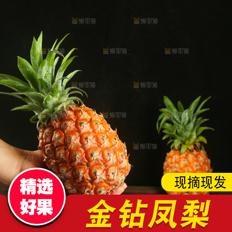 深底上的金钻凤梨