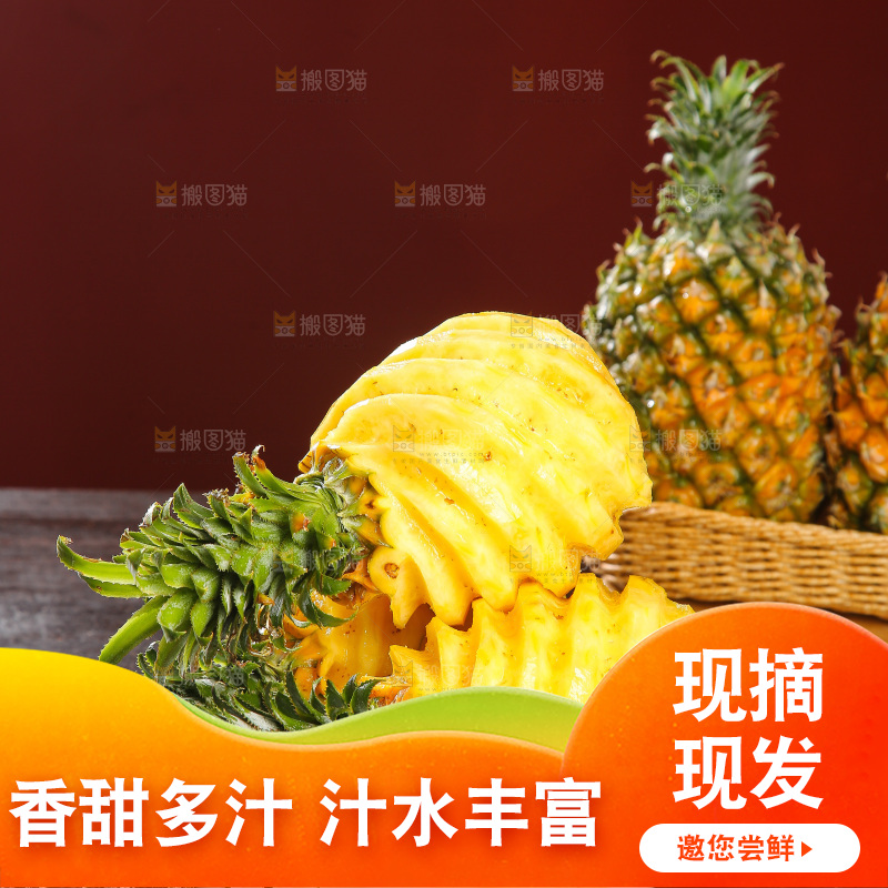 深底上的徐闻菠萝