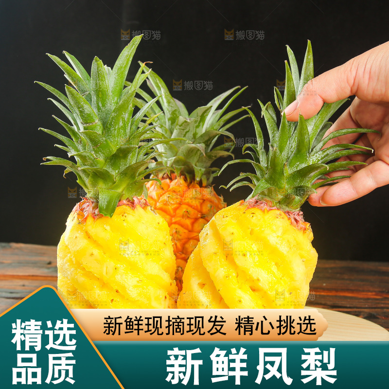 深底上的金钻凤梨